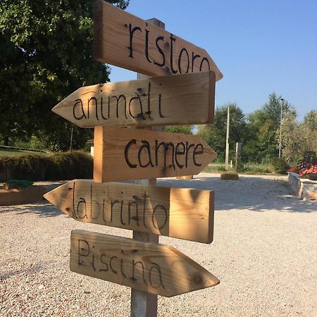 La Selce Farmhouse Bagnario Arsa 外观 照片