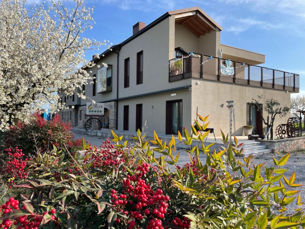 La Selce Farmhouse Bagnario Arsa 外观 照片