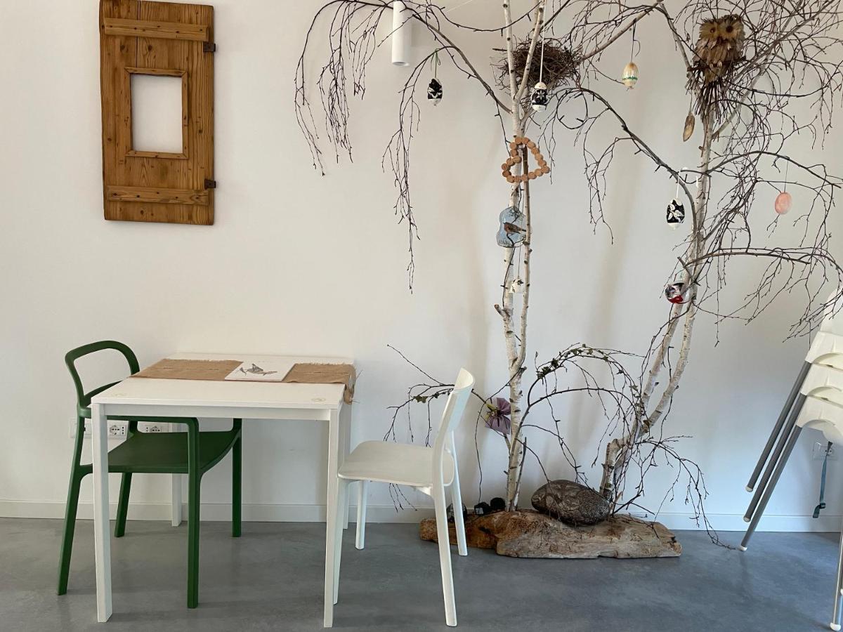 La Selce Farmhouse Bagnario Arsa 外观 照片