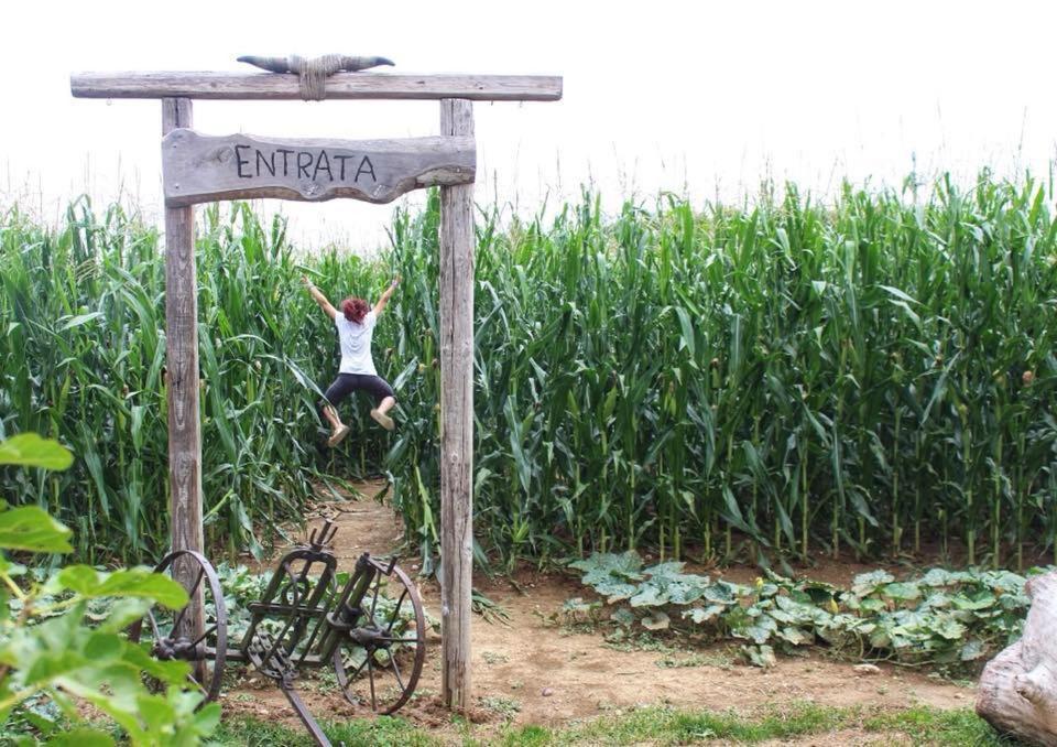 La Selce Farmhouse Bagnario Arsa 外观 照片