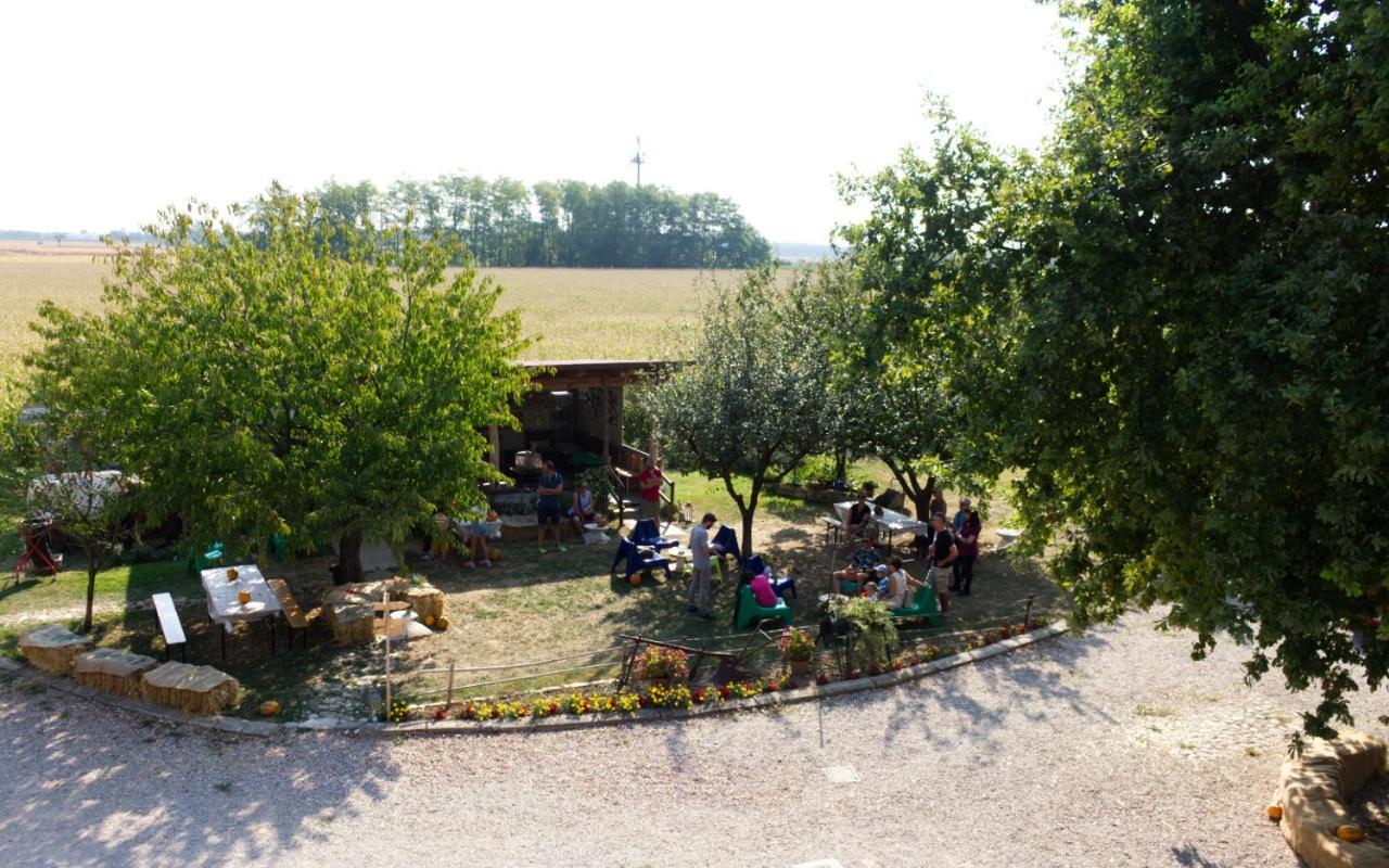 La Selce Farmhouse Bagnario Arsa 外观 照片